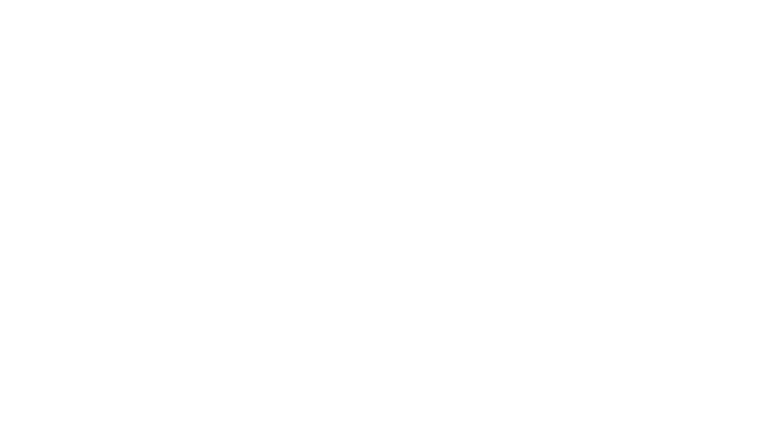 Box Speedy Logistics