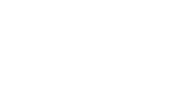 Fig-Mon Logística Internacional